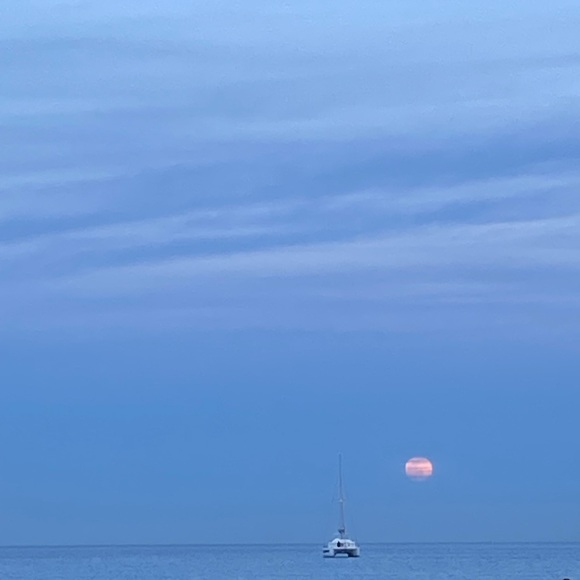 Meet your Posher, Katherine - Picture 1 of 1